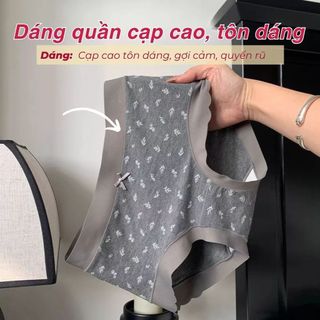 COMBO Quần lót nữ cao cấp cotton dày dặn viền su bèo đính nơ dễ thương, tôn dáng sexy DEVARI L758