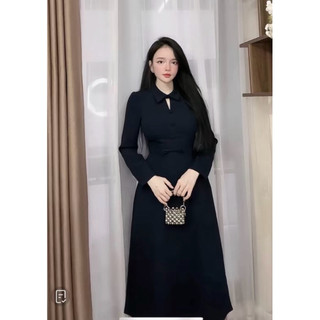 (Y16) Váy Cúc Bọc Dài Tay Dáng Dài 115cm