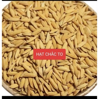 LÚA THỨC ĂN CHO GÀ_ CHO CHIM _COMBO 5 KG