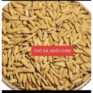 LÚA THỨC ĂN CHO GÀ_ CHO CHIM _COMBO 5 KG