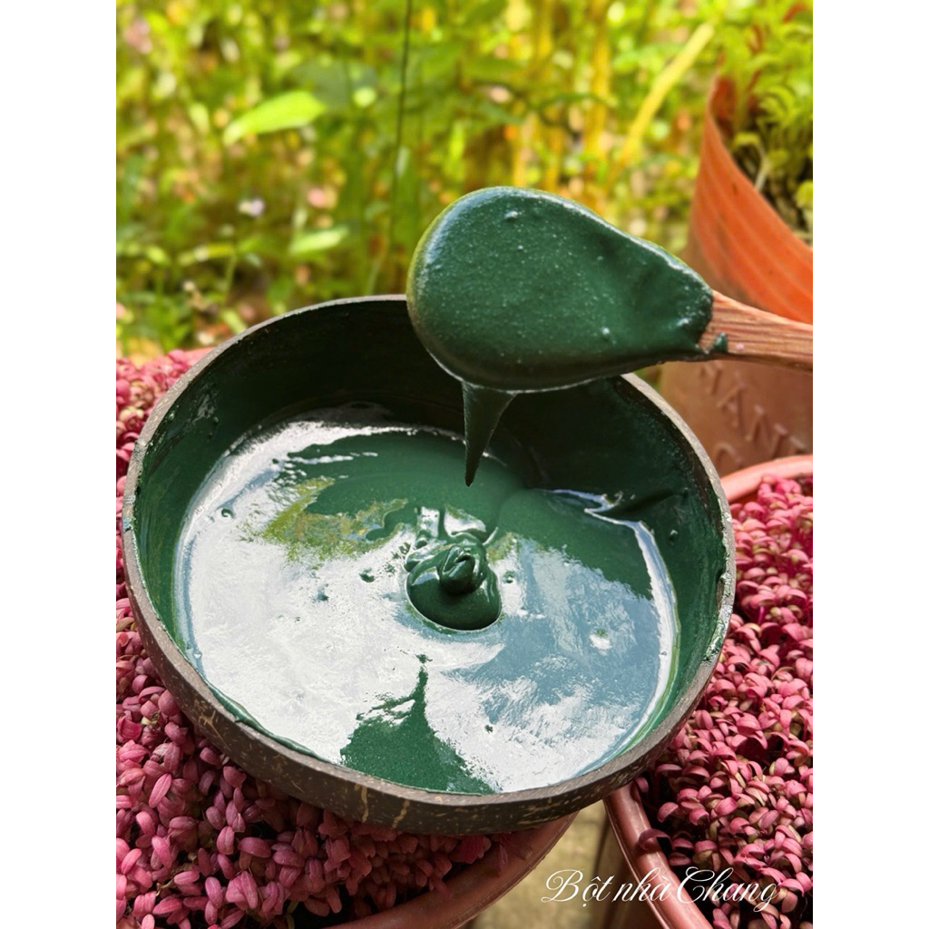 Bột Tảo xoắn nguyên chất 100g/200g- Bột thiên nhiên HANDMADE + tặng bộ dụng cụ đắp mặt