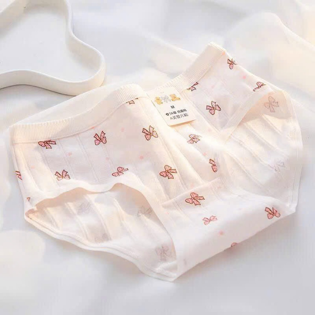 COMBO 5 QUẦN LÓT COTTON NƠ HỒNG MS1113