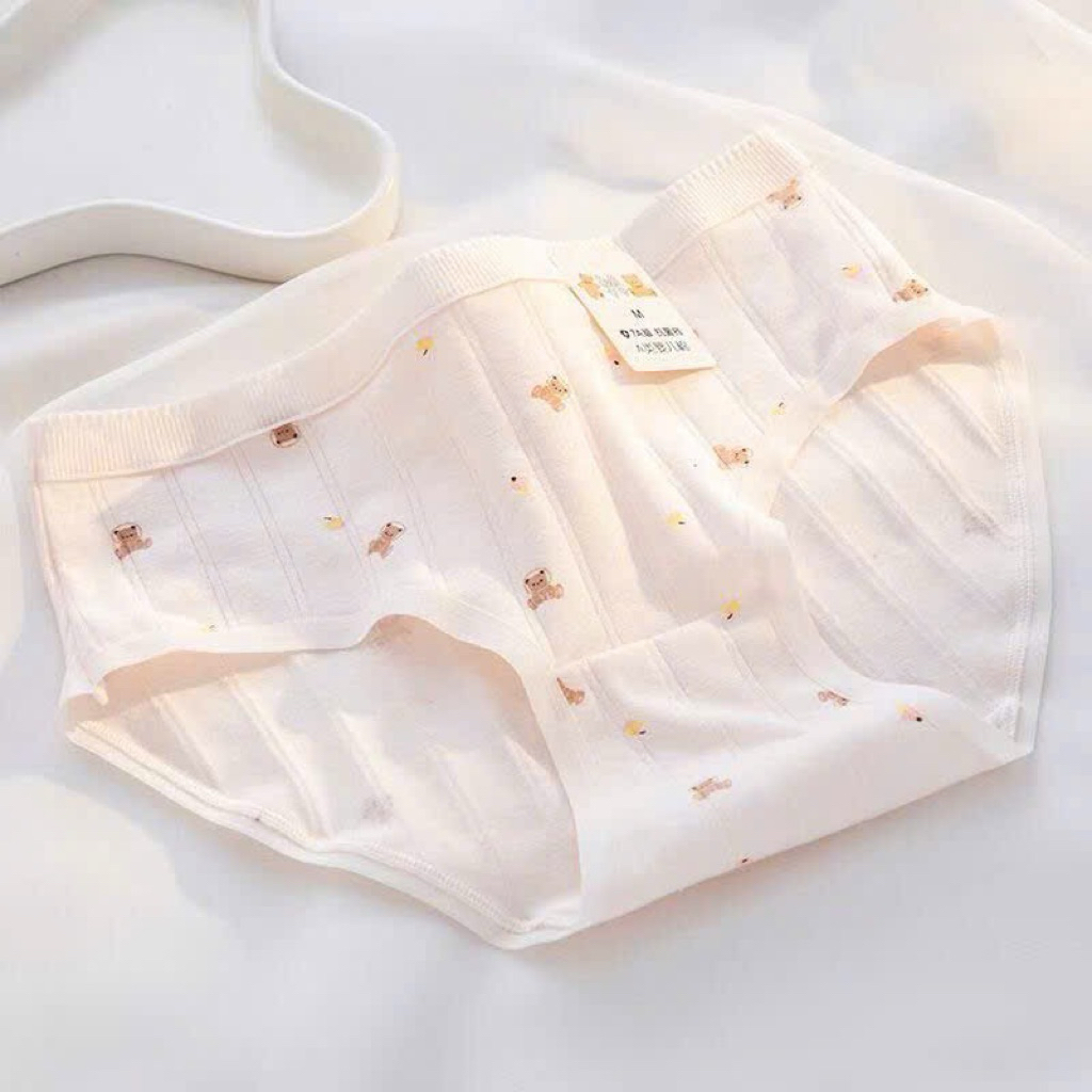 COMBO 5 QUẦN LÓT COTTON NƠ HỒNG MS1113