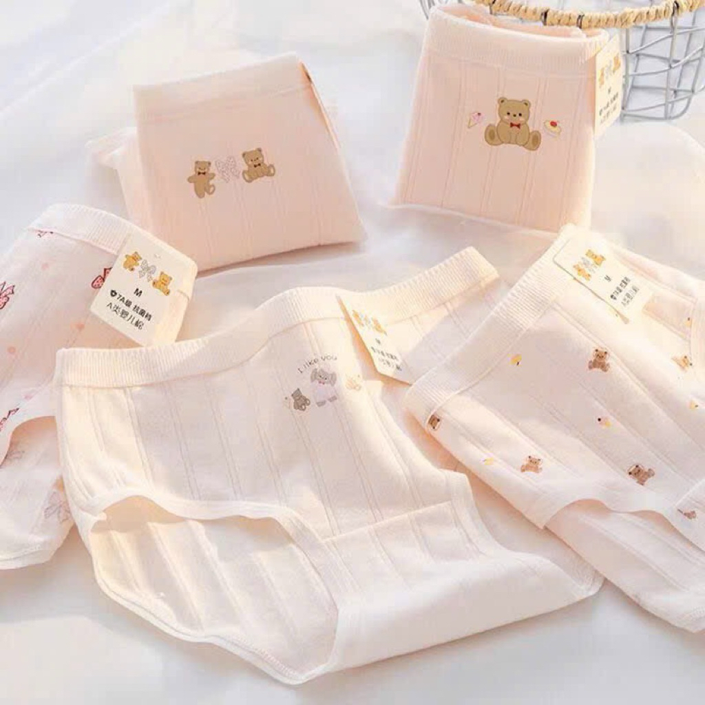 COMBO 5 QUẦN LÓT COTTON NƠ HỒNG MS1113