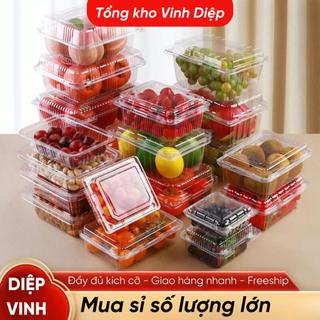 100 Hộp Nhựa Trong PET Đủ Size - Hộp Đựng Bánh/Hoa Quả/Sushi/Thực Phẩm, Dùng 1 Lần