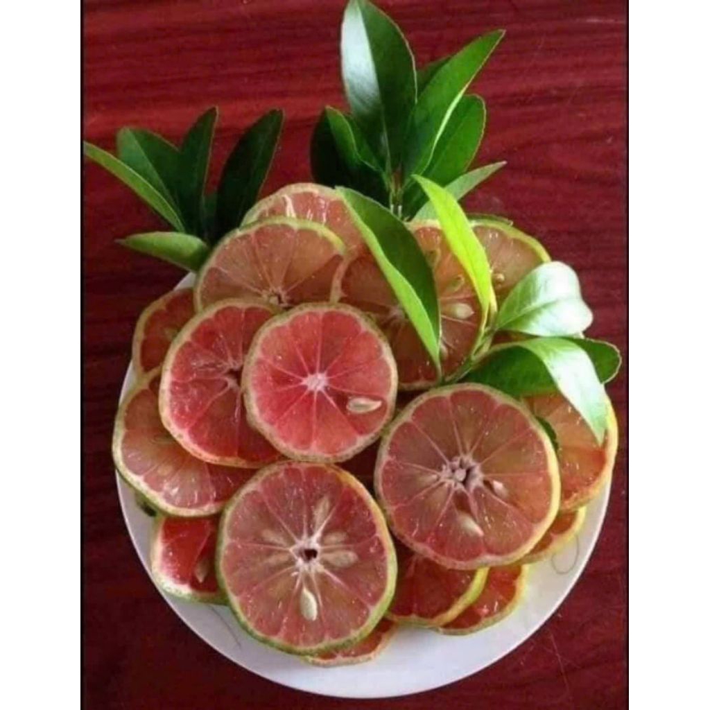 Chanh đào 1kg | Shopee Việt Nam