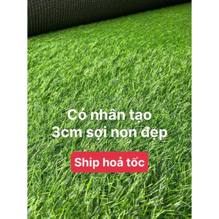 Combo 10m2 thảm cỏ nhân tạo 3cm, sợi cỏ dày trải sân vườn trường học bền đẹp