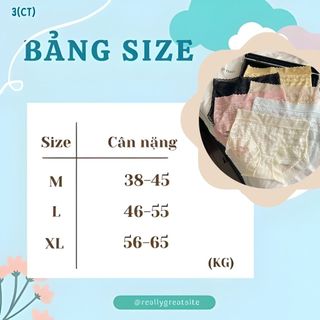 COMBO 6 Quần lót nữ ren lưới cao cấp thoáng mát viền mỏng nhẹ tôn dáng gợi cảm sexy DEVARI L5505