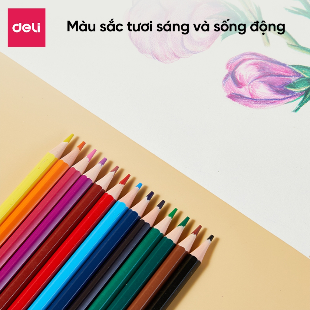 Bút Chì Màu Xóa Được 12/18/24/36 Màu Deli Màu Sắc Tươi Sáng Sống Động Chất Liệu Cao Cấp An Toàn Cho Bé Thỏa Sức Sáng Tạo