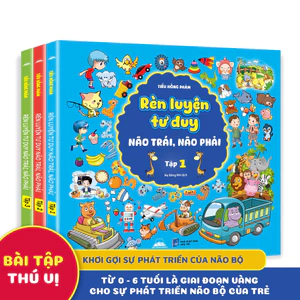 Sách - Rèn Luyện Tư Duy Não Trái, Não Phải - Combo 3 Cuốn Giúp Bé Phát Triển Tư Duy Toàn Diện