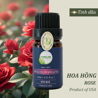 Tinh dầu xông thơm phòng thiên nhiên CAROLINe hương Hoa Hồng Full size mini - Cam kết chính hãng