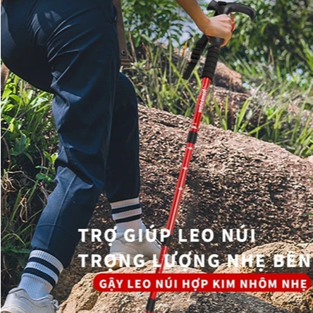Gậy Leo Núi Gậy leo núi trekking gấp khúc dùng phượt dã ngoại dành cho nam và nữ tiện lợi M65