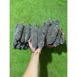 Phân Bón Hữu Cơ Dê, Giun Quế Đã Qua Xử Lý – Dạng Túi & Rời – Cho Cây Cảnh, Rau & Hoa