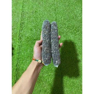 Phân Bón Hữu Cơ Dê, Giun Quế Đã Qua Xử Lý – Dạng Túi & Rời – Cho Cây Cảnh, Rau & Hoa