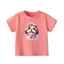 👕 Áo Thun Bé Gái mềm mịn thoáng mát in hình dễ thương 👕 AT124