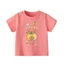 👕 Áo Thun Bé Gái mềm mịn thoáng mát in hình dễ thương 👕 AT125