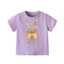 👕 Áo Thun Bé Gái mềm mịn thoáng mát in hình dễ thương 👕 AT125
