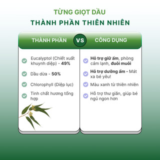 Combo 5 Dầu Khuynh Diệp Cho Bé Thái An Plus Hương Hoa/Hương Phấn
