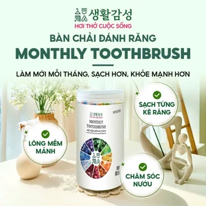Hộp 12 bàn chải đánh răng lông mềm, làm sạch và chăm sóc nướu, hỗ trợ giảm viêm Monthly Toothbrush