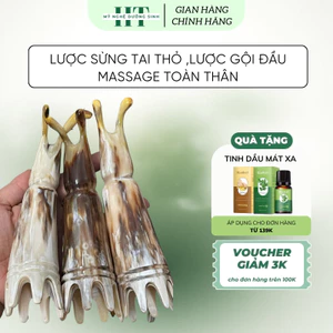 Lược sừng tai thỏ ,lược gội đầu massage kinh tuyến mặt, lưu thông máu - Mỹ nghệ dưỡng sinh HT