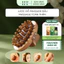 Lược massage cơ thể giúp cơ thể dễ chịu, bàn chải khí mát-xa toàn thân bằng gỗ thơm - Mỹ Nghệ Dưỡng Sinh HT