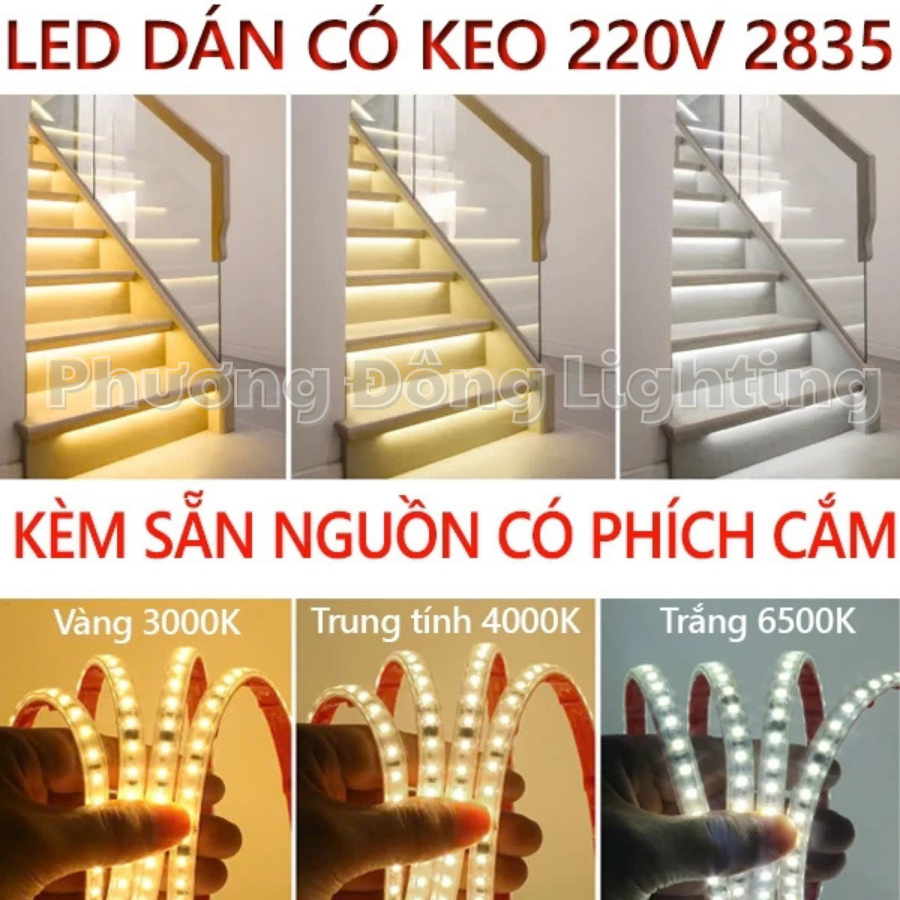 Cuộn 100m LED Dây Dán 2835 Có keo Trang trí tủ kệ, hắc trần, quấn cây siêu sáng Chống nước Điện 220v Tặng Nguồn
