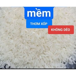 GẠO XỐP MỀM NGỌT CƠM - Nàng Thơm Chợ Đào - 10kg Dành cho người không thích ăn dẻo