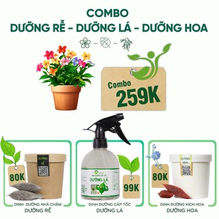 Nhà Thương Cây - COMBO DƯỠNG RỄ - DƯỠNG LÁ - DƯỠNG HOA