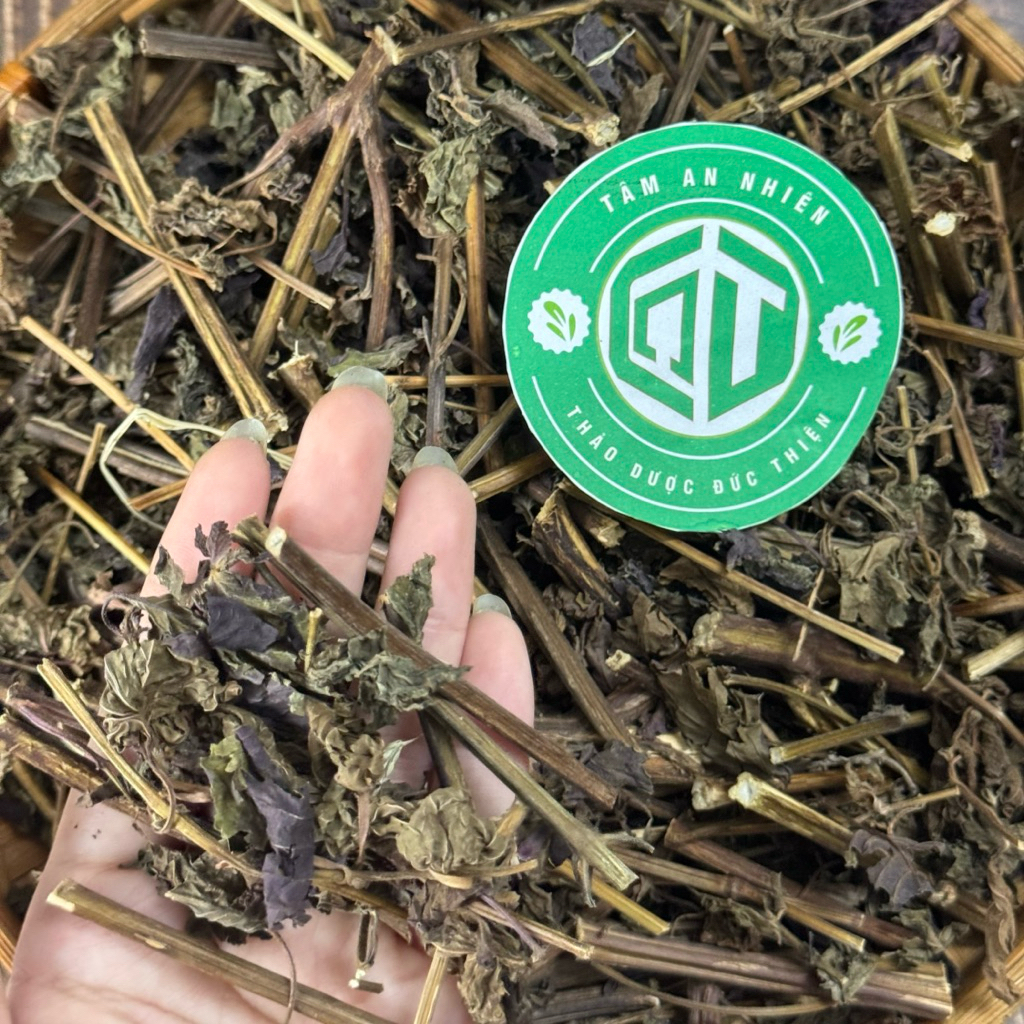 500g Lá Tía Tô Khô Loại 1 Đức Thiện (Thân + Lá) (Khô, Sạch, Thơm) – Giải Cảm, Hỗ Trợ Dạ Dày, Gout