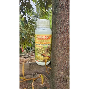 QUANO-N RƯỚC MẮT CUA Bật mắ cua cực mạnh- phátt hoa mập dài - chống nghẹn