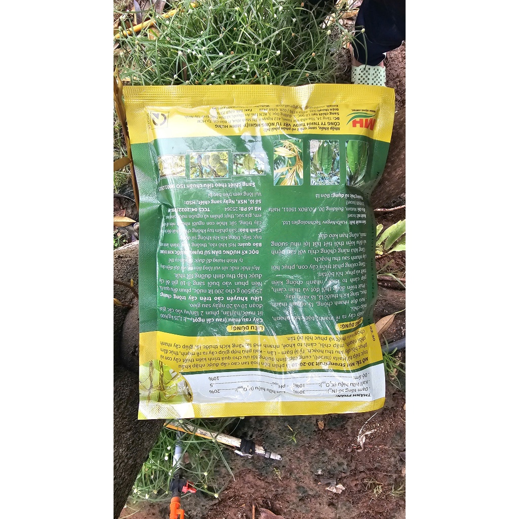 MH STRONGFRUIT 30-20-10 nhập trực tiếp Haifa (Israel)