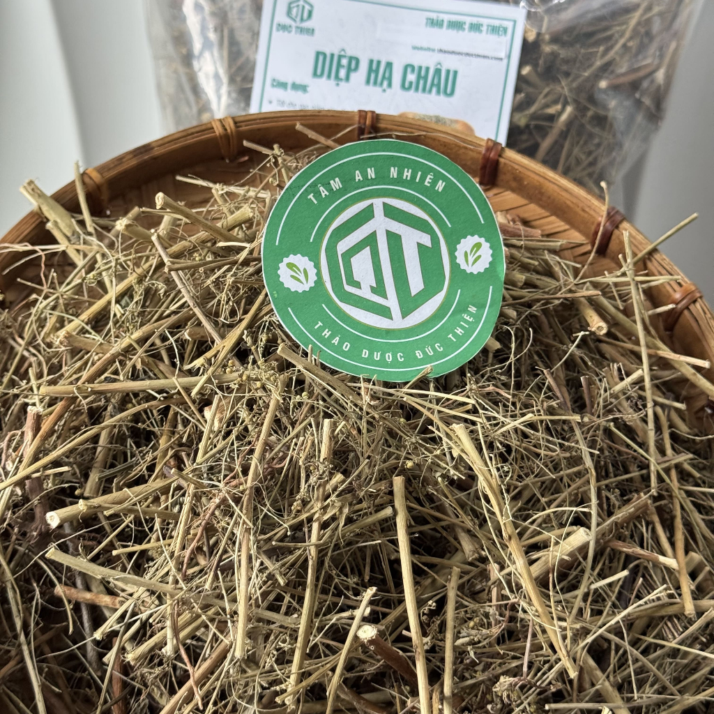 500g, 1kg Diệp Hạ Châu (Cây Chó Đẻ) Loại 1 Đức Thiện - Tốt Cho Gan, Hạ Mỡ Máu, Thông Huyết, Sáng Da