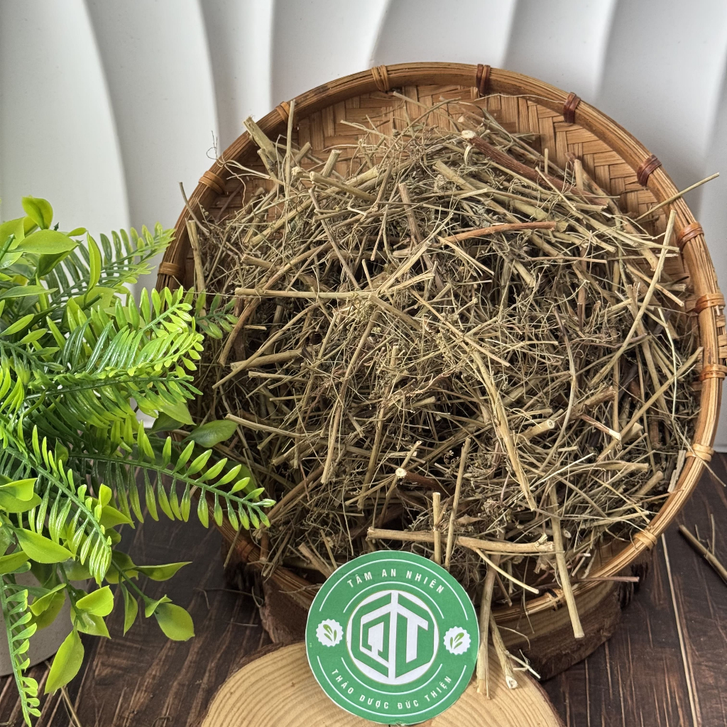 500g, 1kg Diệp Hạ Châu (Cây Chó Đẻ) Loại 1 Đức Thiện - Tốt Cho Gan, Hạ Mỡ Máu, Thông Huyết, Sáng Da
