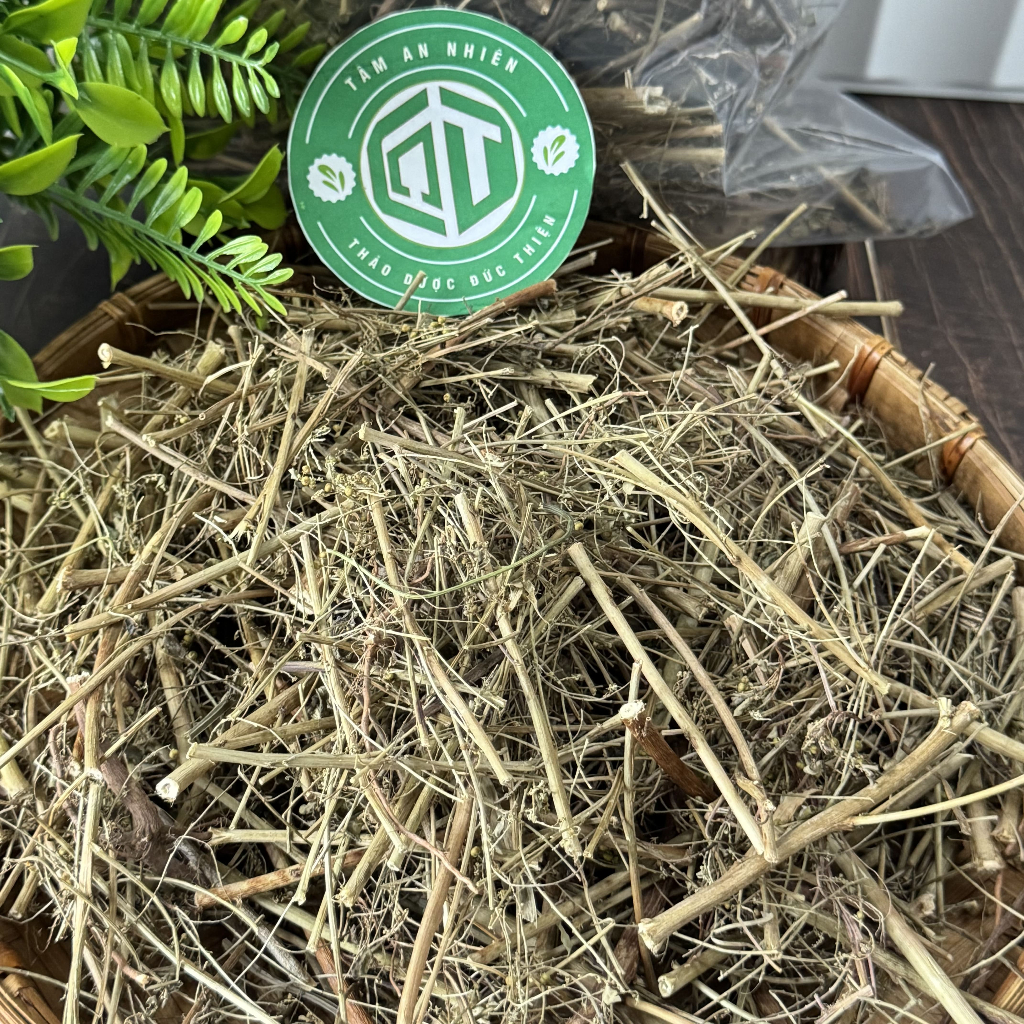 500g, 1kg Diệp Hạ Châu (Cây Chó Đẻ) Loại 1 Đức Thiện - Tốt Cho Gan, Hạ Mỡ Máu, Thông Huyết, Sáng Da