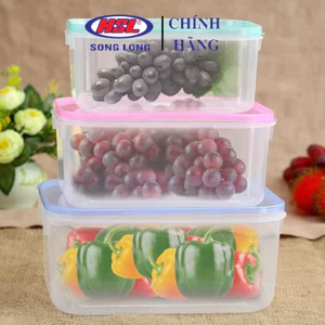 Bộ lạnh bầu 3 hộp nhựa 1650ml, 1200ml,600 ml đựng thực phẩm có nắp Song Long Plastic - 2073
