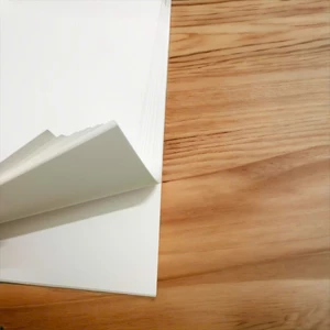 Tặng ngay 5 tờ khi mua 50 tờ (55 tờ) giấy vẽ màu nước Canson truyền thống vân ngang chất lượng cao định lượng 230gsm