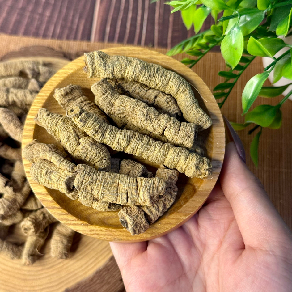 Ba Kích Tím Loại 1 Đức Thiện (Khô, Sạch, Thơm) - Tăng Cường Sức Khỏe Sinh Lý, Giảm Đau Xương Khớp