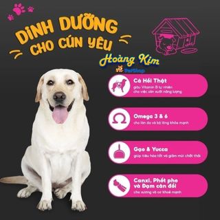 [Bao xá 10kg] - Thức ăn hạt cho chó Ganador