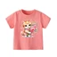 👕 Áo Thun Bé Gái mềm mịn thoáng mát in hình dễ thương 👕 AT173