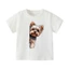 👕 Áo Thun Bé Trai mềm mịn thoáng mát in hình cá tính 👕 AT185