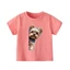 👕 Áo Thun Bé Trai mềm mịn thoáng mát in hình cá tính 👕 AT185