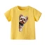 👕 Áo Thun Bé Trai mềm mịn thoáng mát in hình cá tính 👕 AT185