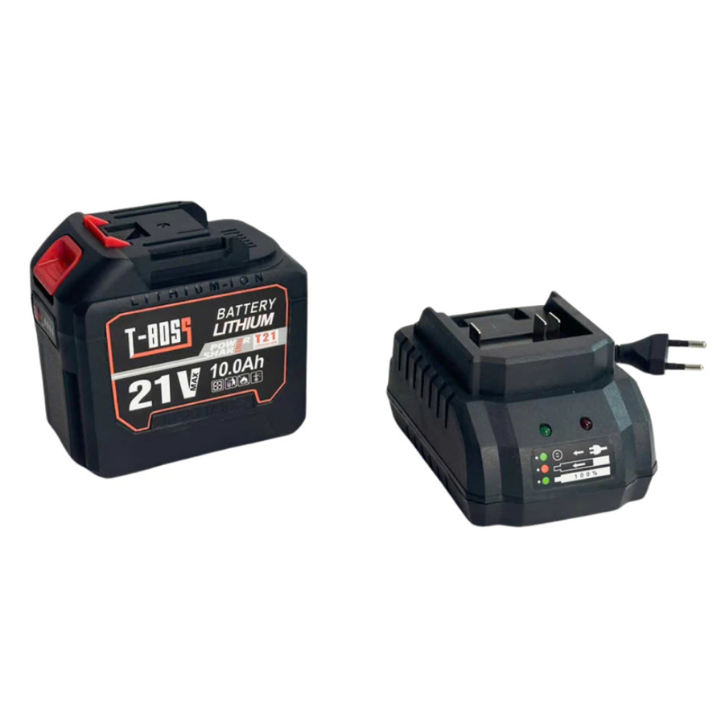 (Combo 2Pin 20Cell T-BOSS Tặng 1Sạc)Pin 20Cell Lõi Xám Mạch 3mosfet Có Đèn Báo Dung Lượng Pin Chân Pin Phổ Thông m21-4cm