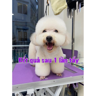 Tẩy ố lông cho chó Poodi-ChuChu pet