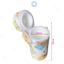 Bình Ủ Sữa Cổ Rộng Đơn Princy, KENROKID Thái Lan Dùng Được Cho Bình Comotomo,Hegen,Babu,Aga Ae