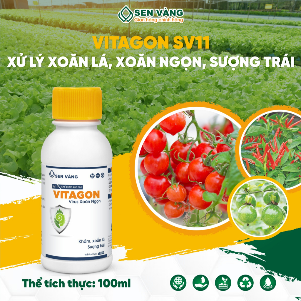 Chế Phẩm Sinh Học Vitagon SV11 - Xử Lý Xoăn Lá, Xoăn Ngọn, Sượng Trái ...