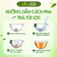 Trà Kim Tiền Thảo Râu Mèo – Thảo mộc giúp cơ thể thanh lọc & thư giãn tự nhiên