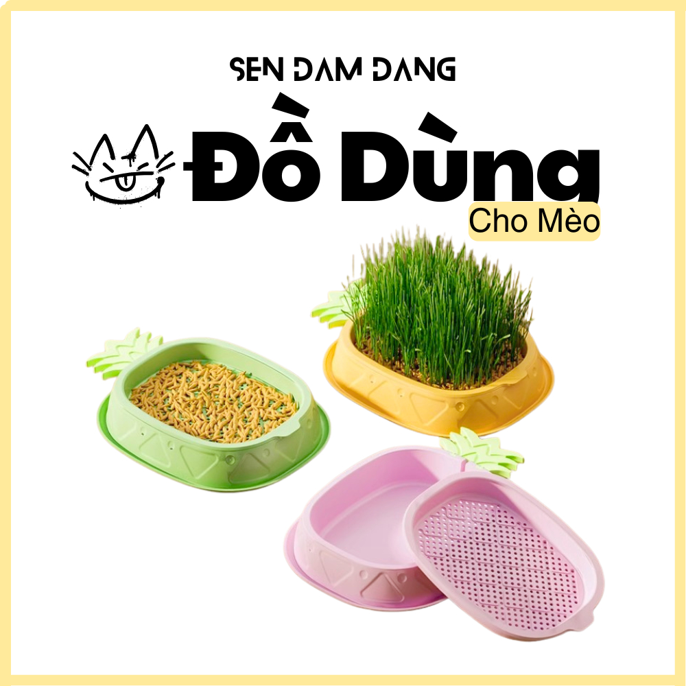 Bộ Trồng Cỏ Mèo Thủy Canh Tiêu Hóa Búi Lông Cho Mèo