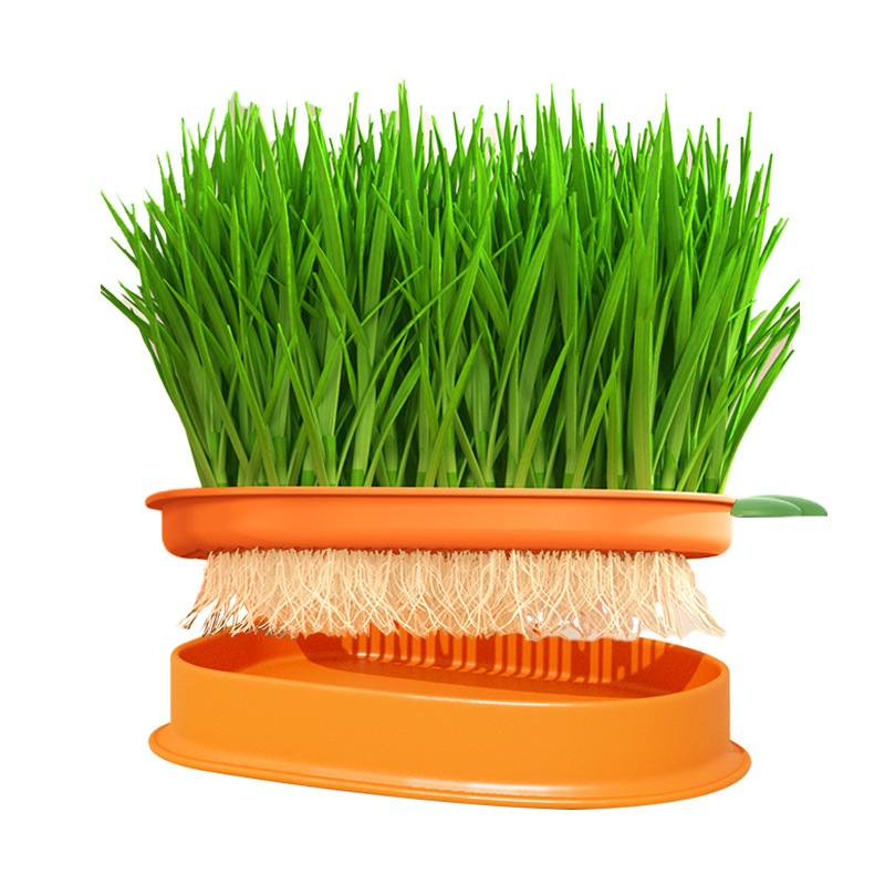 Bộ Trồng Cỏ Mèo Thủy Canh Tiêu Hóa Búi Lông Cho Mèo