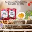 Kẹo hồng sâm Hàn Quốc không đường 365 – Gói 500g